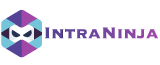 IntraNinja – A láthatatlan rendszergazda Logo