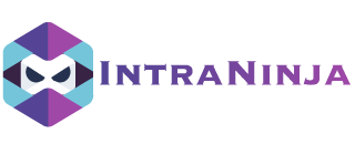 IntraNinja – A láthatatlan rendszergazda Logo